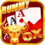 rummy aries